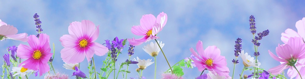 肌トラブルの程度が下がるように